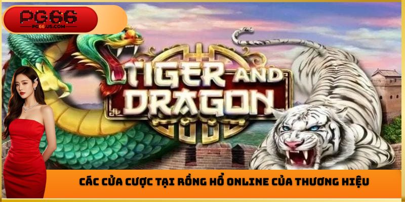 Các cửa cược tại Rồng hổ Online của thương hiệu