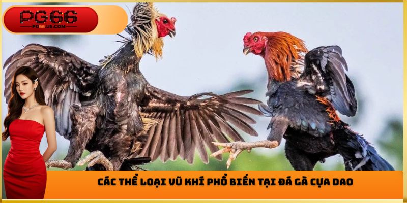 Các thể loại vũ khí phổ biến tại đá gà cựa dao