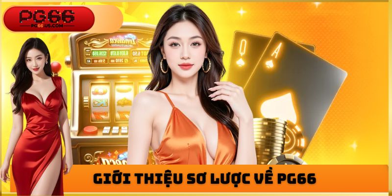 Giới thiệu sơ lược về PG66