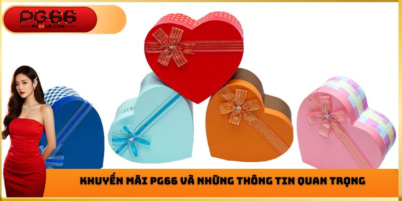 Khuyến mãi PG66 và những thông tin quan trọng